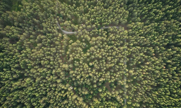 Droga Zielonym Tle Lasu Anteny Nad Widokiem Drona — Zdjęcie stockowe