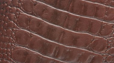 Decorative brown leather snake texture background. Rough skin with wrinkle