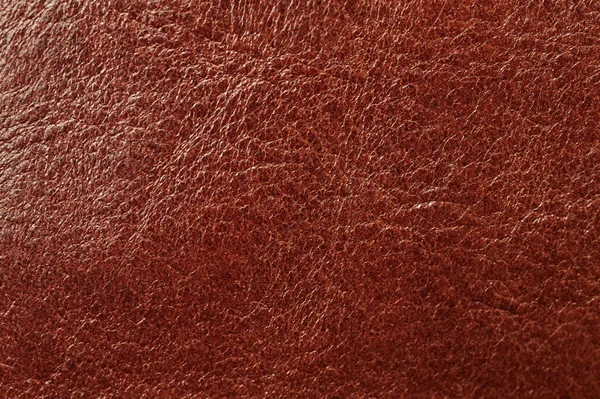 Leather Material Background Abstract Brown Color Skin Surface — Stock Photo, Image