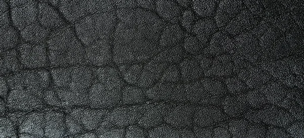 Surface Rugueuse Cuir Noir Macro Vue Près — Photo
