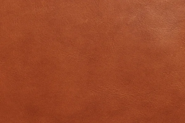 Brown Color Leather Surface Blank Decorative Cover Stock Picture