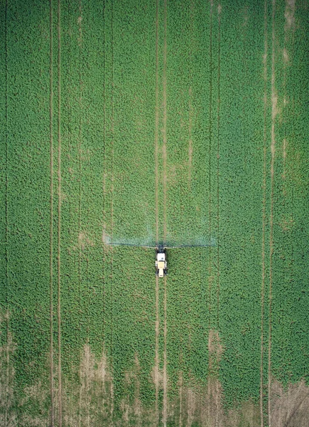 Tractor Aplica Pesticidas Campo Verde Por Encima Vista Superior Del — Foto de Stock