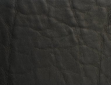Sığır derisi siyah deri yüzey makrosu yakın görünüm