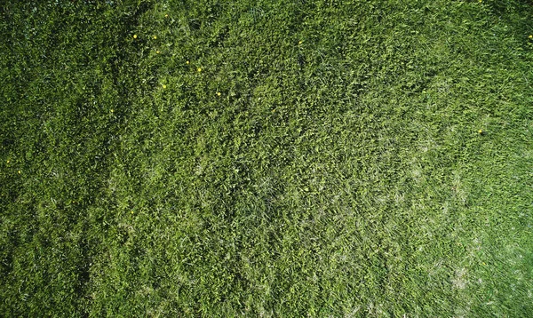 Tetxure Superficie Verde Hierba Sobre Vista Superior Del Dron — Foto de Stock