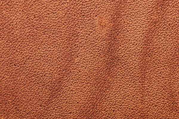 Oppervlakte Van Beige Kleur Lederen Macro Close Bekijken — Stockfoto