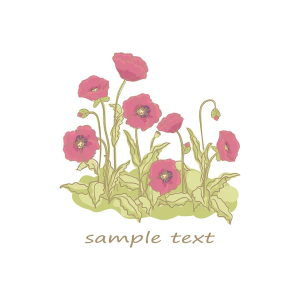 Amapolas — Archivo Imágenes Vectoriales