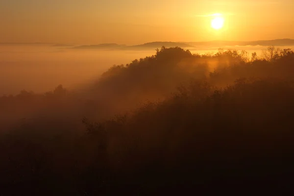 Gouden zonsopgang boven de berg — Stockfoto