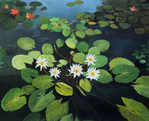 Water Lilies — Stock Photo, Image