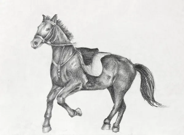 Potlood tekening van een lopend paard — Stockfoto