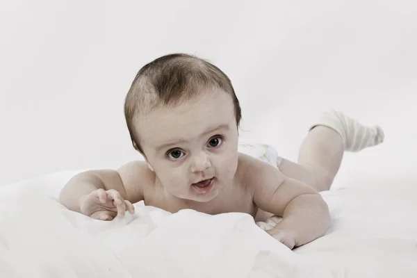 Fiatal baba kisfiú portréja — Stock Fotó