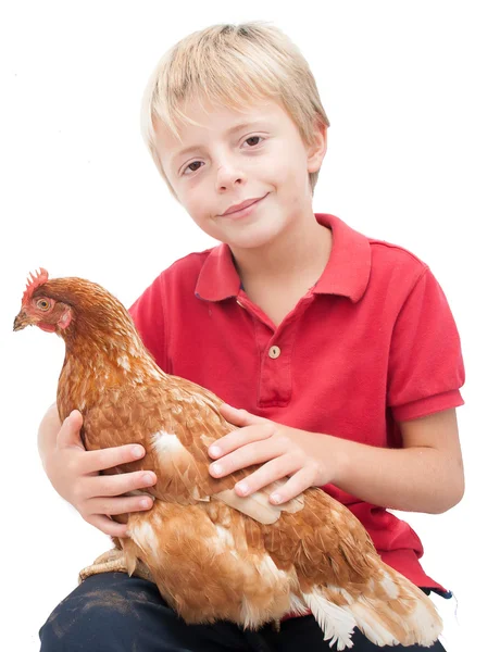 Boy and a hen. — Stock Photo, Image