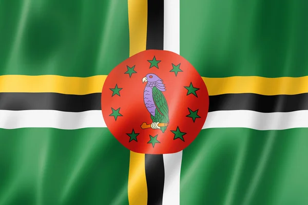 Dominica flag — Stock Photo, Image