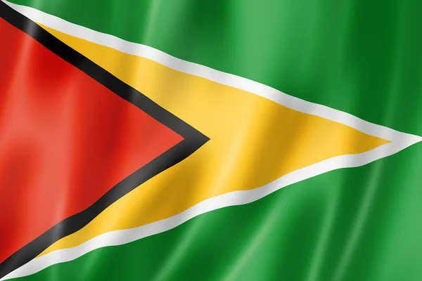 Гайанский флаг — стоковое фото