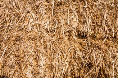 Saman dokusu arkaplanı. Soyut duvar kağıdı