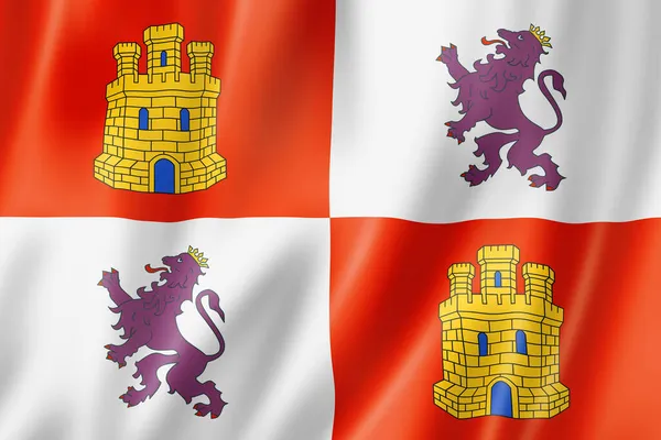 Σημαία Της Επαρχίας Καστίλης Και Λεόν Ισπανία Απεικόνιση — Φωτογραφία Αρχείου