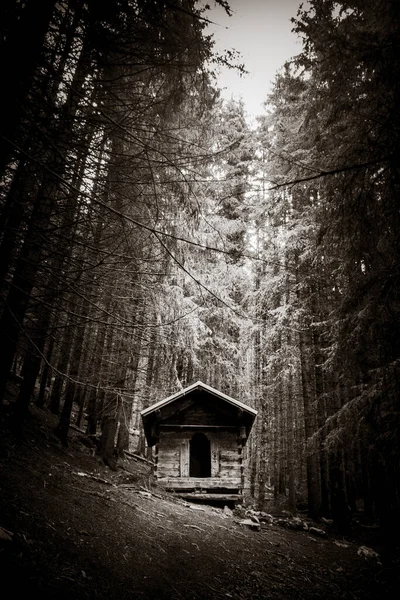 Невелика Покинута Дерев Яна Хатина Глибокому Темному Ялиновому Лісі Чорно — стокове фото