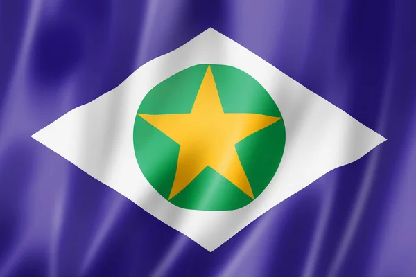 Mato Grosso Delstatsflagga Brasilien Viftar Banner Samling Illustration — Stockfoto