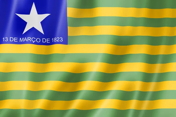 Σημαία Πολιτεία Piaui Βραζιλία Κυματίζει Συλλογή Banner Απεικόνιση — Φωτογραφία Αρχείου