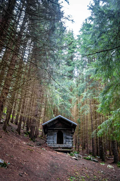 Pequeña Cabaña Madera Abandonada Bosque Abeto Oscuro Profundo — Foto de Stock