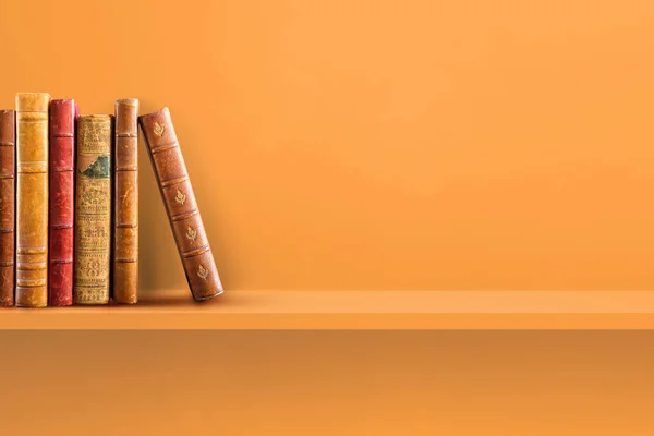 オレンジの棚に古い本の行 水平背景 — ストック写真