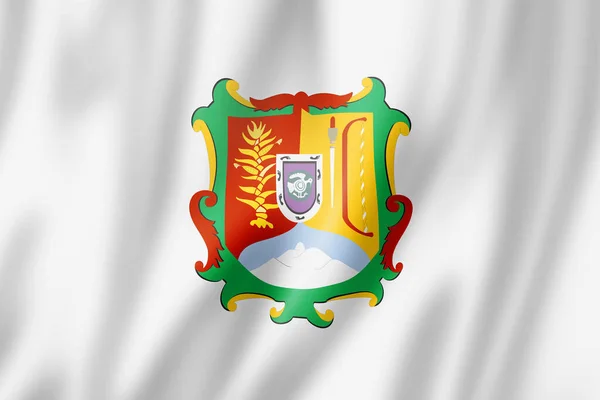 Die Flagge Des Bundesstaates Nayarit Mexiko Schwenkt Fahnen Illustration — Stockfoto