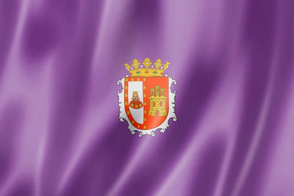 Burgos Provincie Vlag Spanje Zwaaiend Banner Collectie Illustratie — Stockfoto