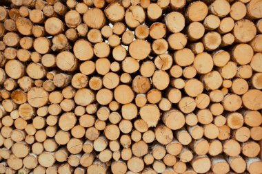 Bir yığın ağaç gövdesi. Desen arkaplan duvar kağıdı