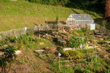 Yeşil sebze bahçesinde küçük bir sera