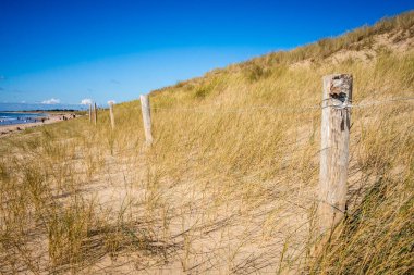 Sahilde kum tepesi ve çit, Re Adası, Fransa. Mavi gökyüzü arkaplanı