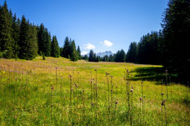 La Clusaz 'daki dağ manzarası, Haute-savoie, Fransa
