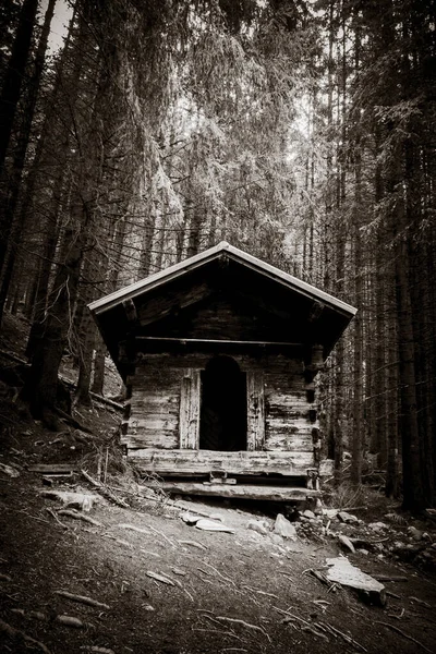 深い暗いモミの森の中の小さな放棄された木造キャビン 黒と白 — ストック写真