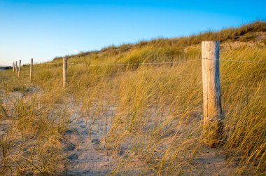 Kum tepeciği ve çit gün batımında bir sahilde. Re Adası, Fransa