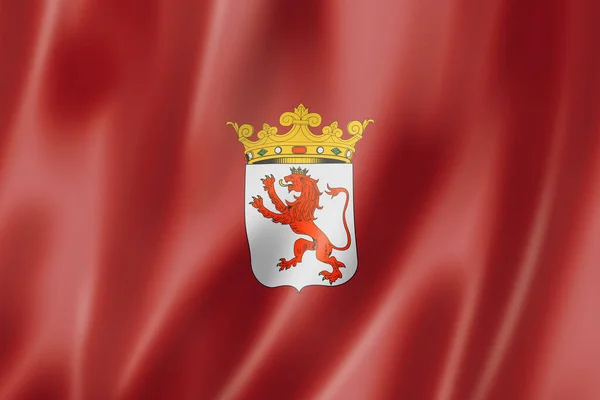 里昂省国旗 西班牙飘扬国旗收藏 3D插图 — 图库照片