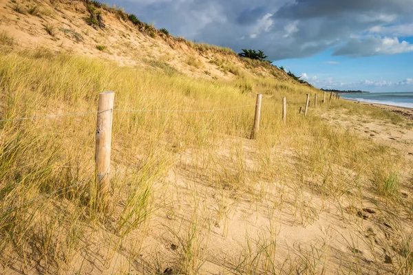 Sahilde kum tepesi ve çit, Re Adası, Fransa. Bulutlu arkaplan