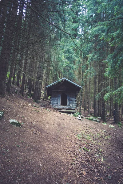 Small Abandoned Wooden Cabin Deep Dark Fir Forest — Stock Photo, Image