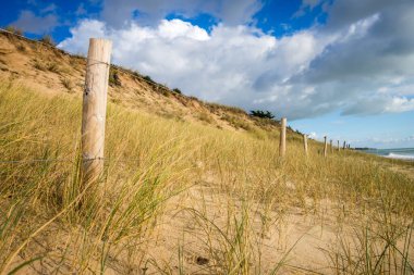 Sahilde kum tepesi ve çit, Re Adası, Fransa. Bulutlu arkaplan