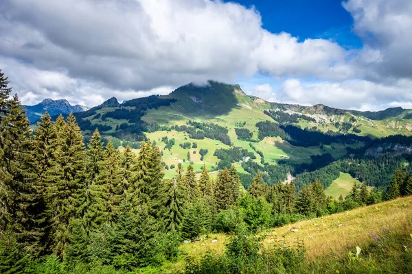 Paisaje Montaña Grand Bornand Alta Saboya Francia —  Fotos de Stock