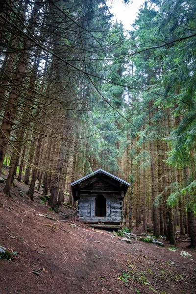 深い暗いモミの森の中の小さな放棄された木造キャビン — ストック写真