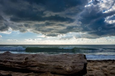 Sahilde bir ağaç gövdesi ve gün batımında bulutlu deniz manzarası.