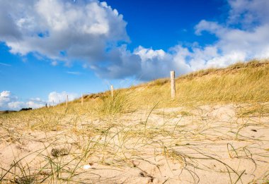 Sahilde kum tepesi ve çit, Re Adası, Fransa. Mavi gökyüzü arkaplanı