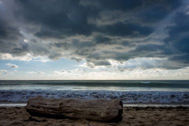 Sahilde bir ağaç gövdesi ve gün batımında bulutlu deniz manzarası.