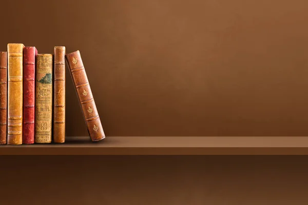 茶色の棚に古い本の行 水平背景 — ストック写真