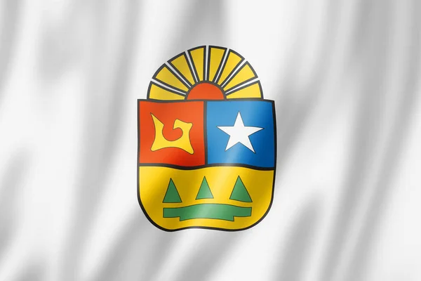 Quintana Roo State Flagga Mexiko Viftar Med Banderollsamlingen Illustration — Stockfoto