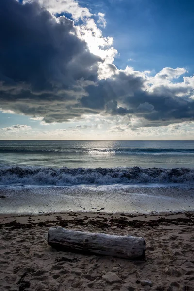 Boomstam Een Strand Bewolkt Zeegezicht Bij Zonsondergang — Stockfoto