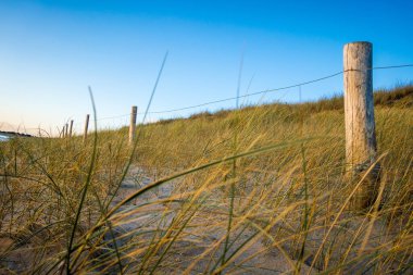 Kum tepeciği ve çit gün batımında bir sahilde. Re Adası, Fransa