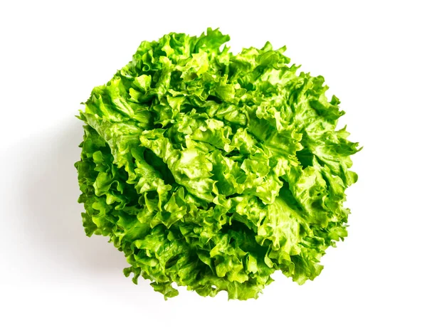 Salada Alface Fresca Isolada Sobre Fundo Branco — Fotografia de Stock