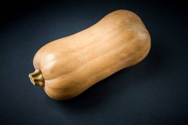 Siyah arka planda izole edilmiş taze organik tereyağı kabağı.