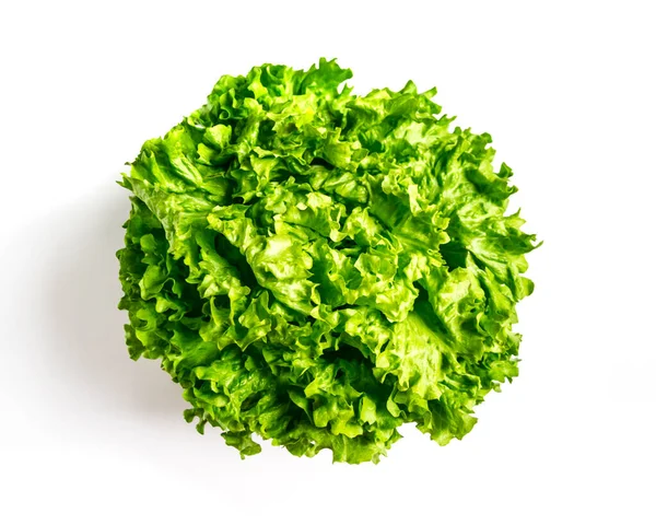 Verse Sla Salade Geïsoleerd Een Witte Achtergrond — Stockfoto