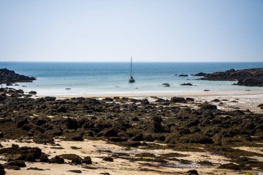 Chausey adası kıyıları ve Brittany, Fransa 'daki kayalıklar