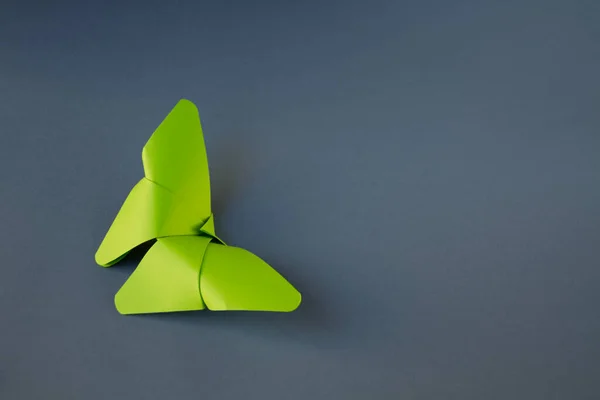 Papier Vert Origami Papillon Isolé Sur Fond Blanc Gris — Photo